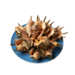  Jumbo Sa'ang 점보 사앙